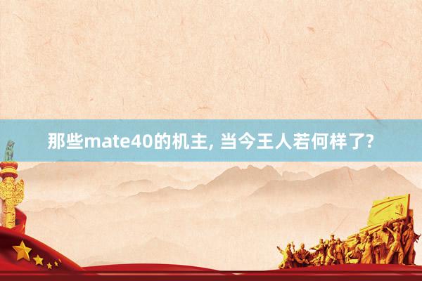 那些mate40的机主, 当今王人若何样了?