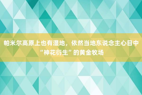 帕米尔高原上也有湿地，依然当地东说念主心目中“神花衍生”的黄金牧场