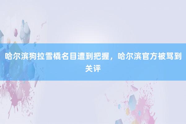 哈尔滨狗拉雪橇名目遭到把握，哈尔滨官方被骂到关评