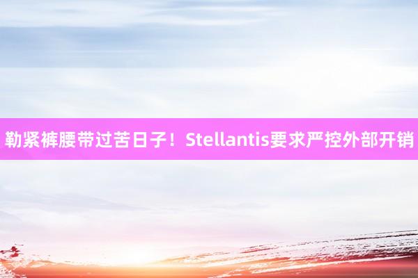 勒紧裤腰带过苦日子！Stellantis要求严控外部开销