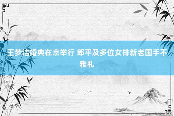 王梦洁婚典在京举行 郎平及多位女排新老国手不雅礼