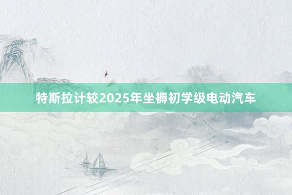 特斯拉计较2025年坐褥初学级电动汽车